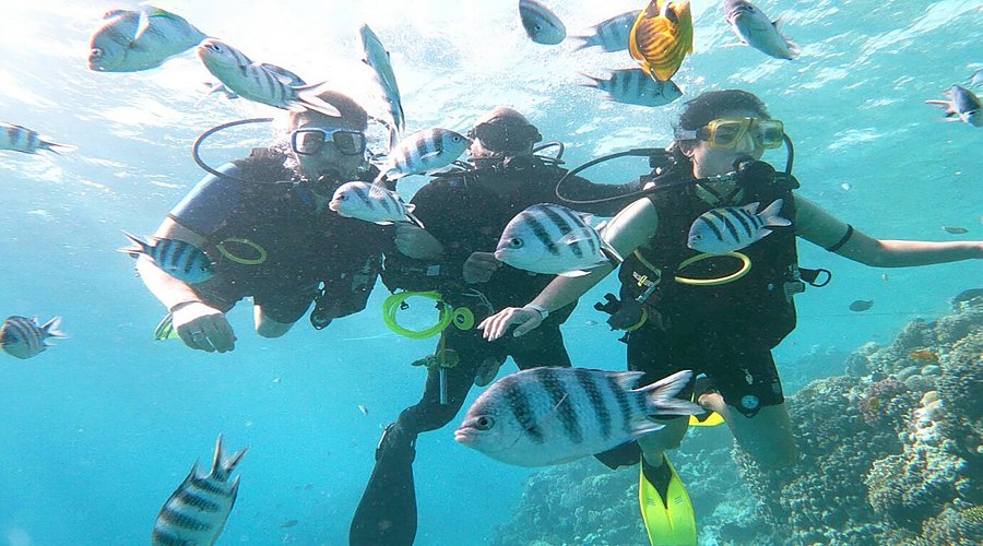 Full Day Eden Island Hurghada