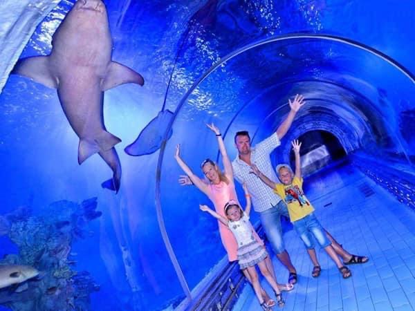 Grand Aquarium in Hurghada